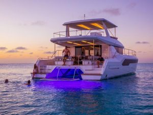 Leopard Power catamaran charter rent yachtco (12)